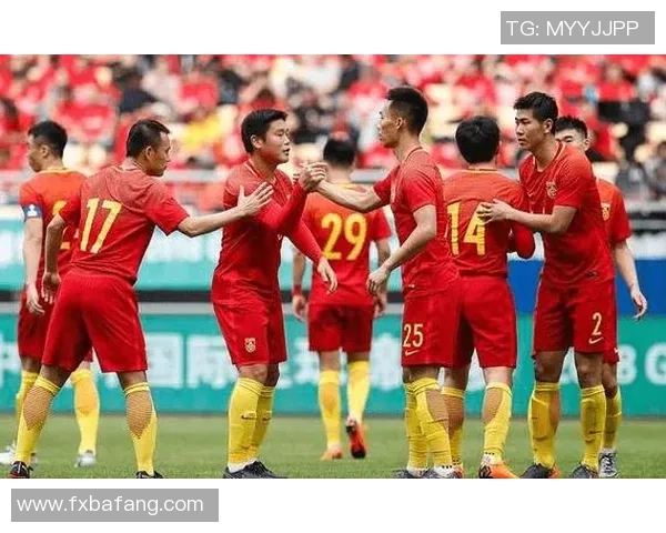 成都足球队运营分析：成功经验与教训的深度剖析与反思